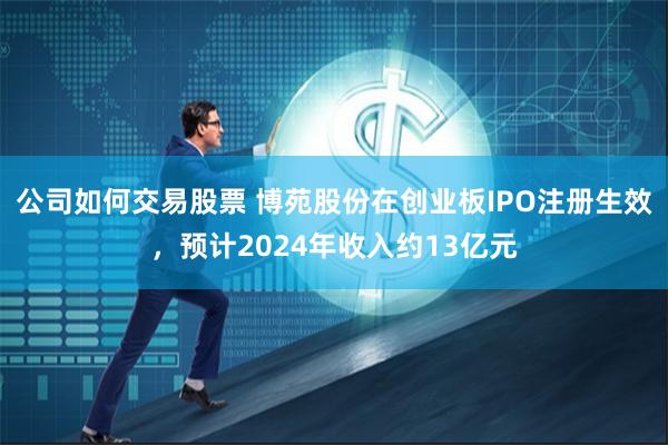 公司如何交易股票 博苑股份在创业板IPO注册生效，预计2024年收入约13亿元