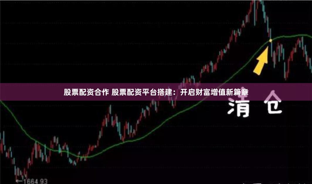 股票配资合作 股票配资平台搭建：开启财富增值新篇章