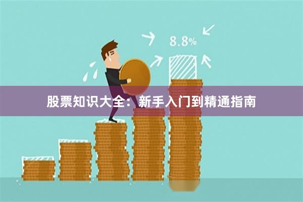 股票知识大全：新手入门到精通指南