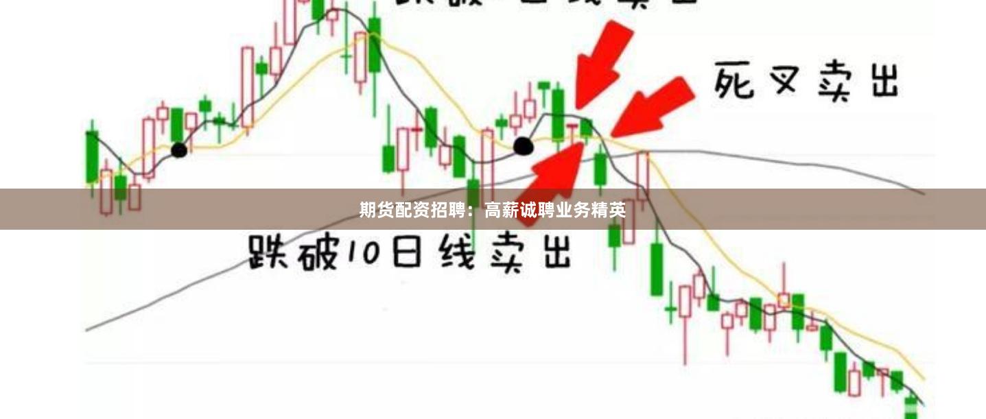 期货配资招聘：高薪诚聘业务精英