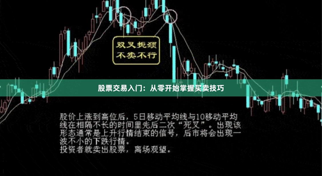 股票交易入门：从零开始掌握买卖技巧